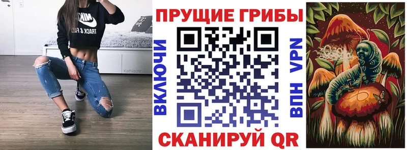 Галлюциногенные грибы Psilocybine cubensis  Купить где  Инсар 